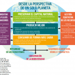 soluciones-wwf