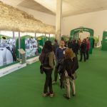 contenedor-verde-de-reciclaje-Pamplona