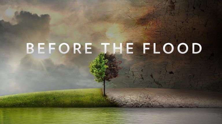 Las 10 mejores series y documentales sobre el planeta y los animales