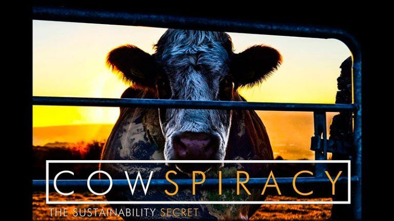 Las 10 mejores series y documentales sobre el planeta y los animales