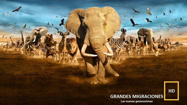 Las 10 mejores series y documentales sobre el planeta y los animales