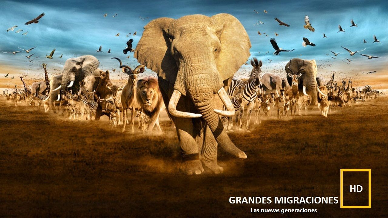 Las 10 mejores series y documentales sobre el planeta y los animales
