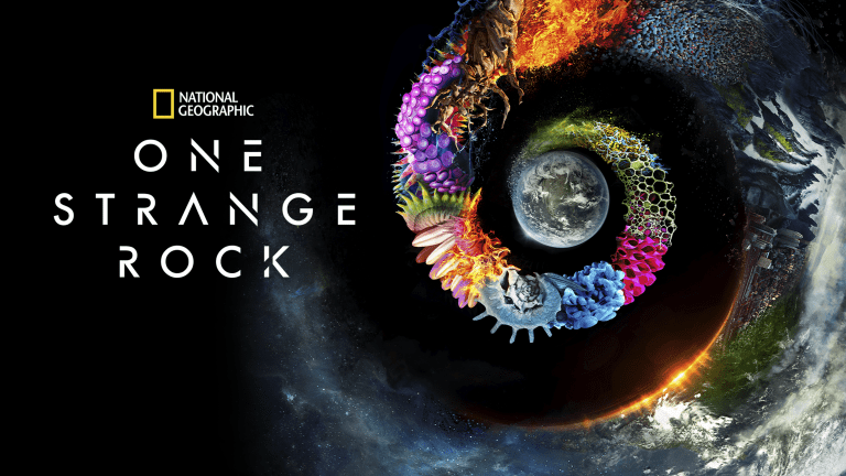 Las 10 mejores series y documentales sobre el planeta y los animales