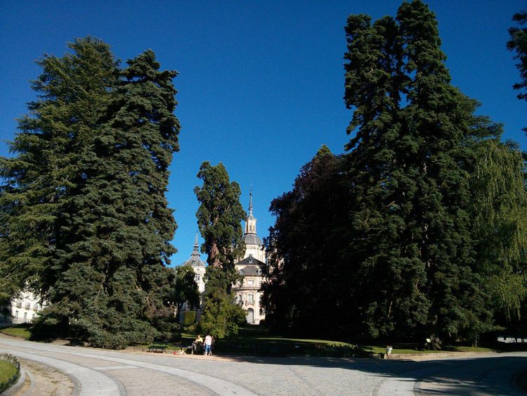 Imagen de Secuoyas granja