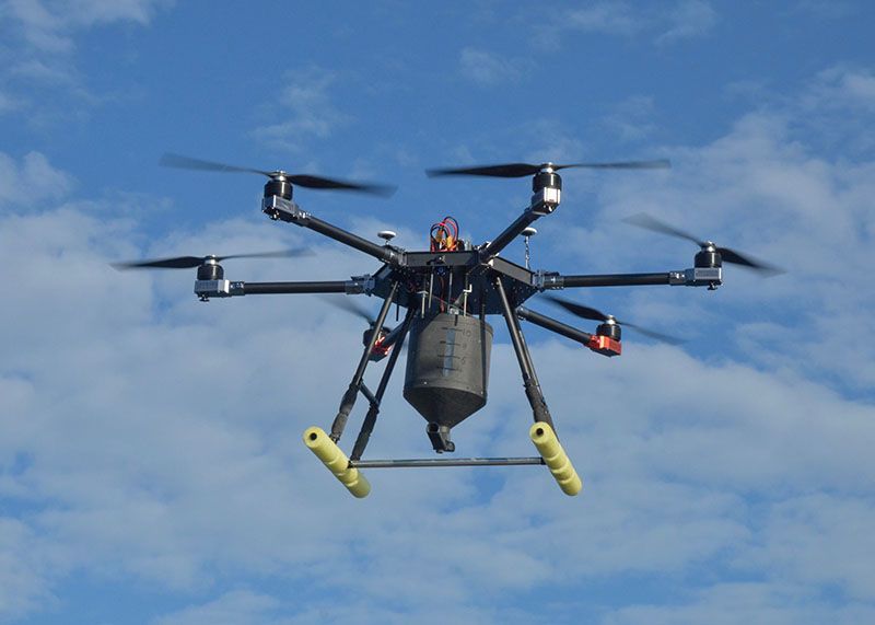 Dron monitoreo de especies. Red Prensa Verde