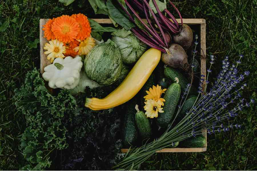 Verduras de agricultura sostenible.