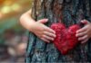 manos de un niño rodeando un árbol con corazón