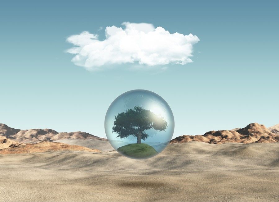 arbol protegido del cambio climático
