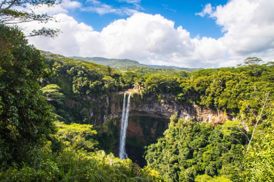 paisaje con una cascada