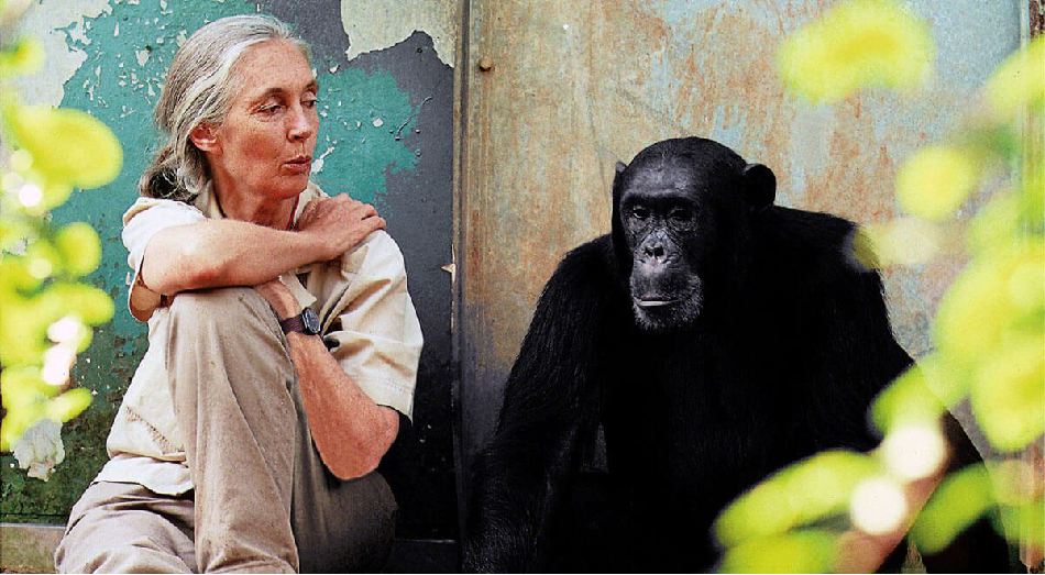 Jane Goodall con mono