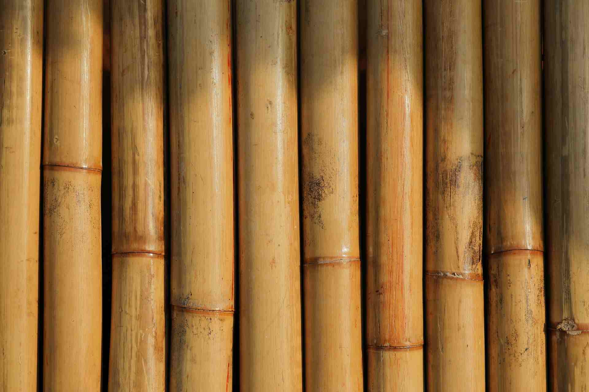 bambú material ecológico