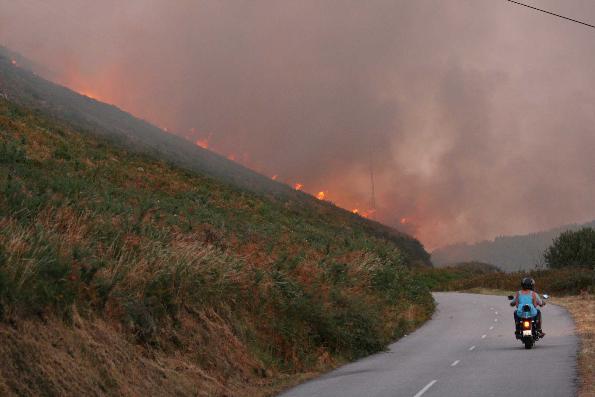 incendio forestal