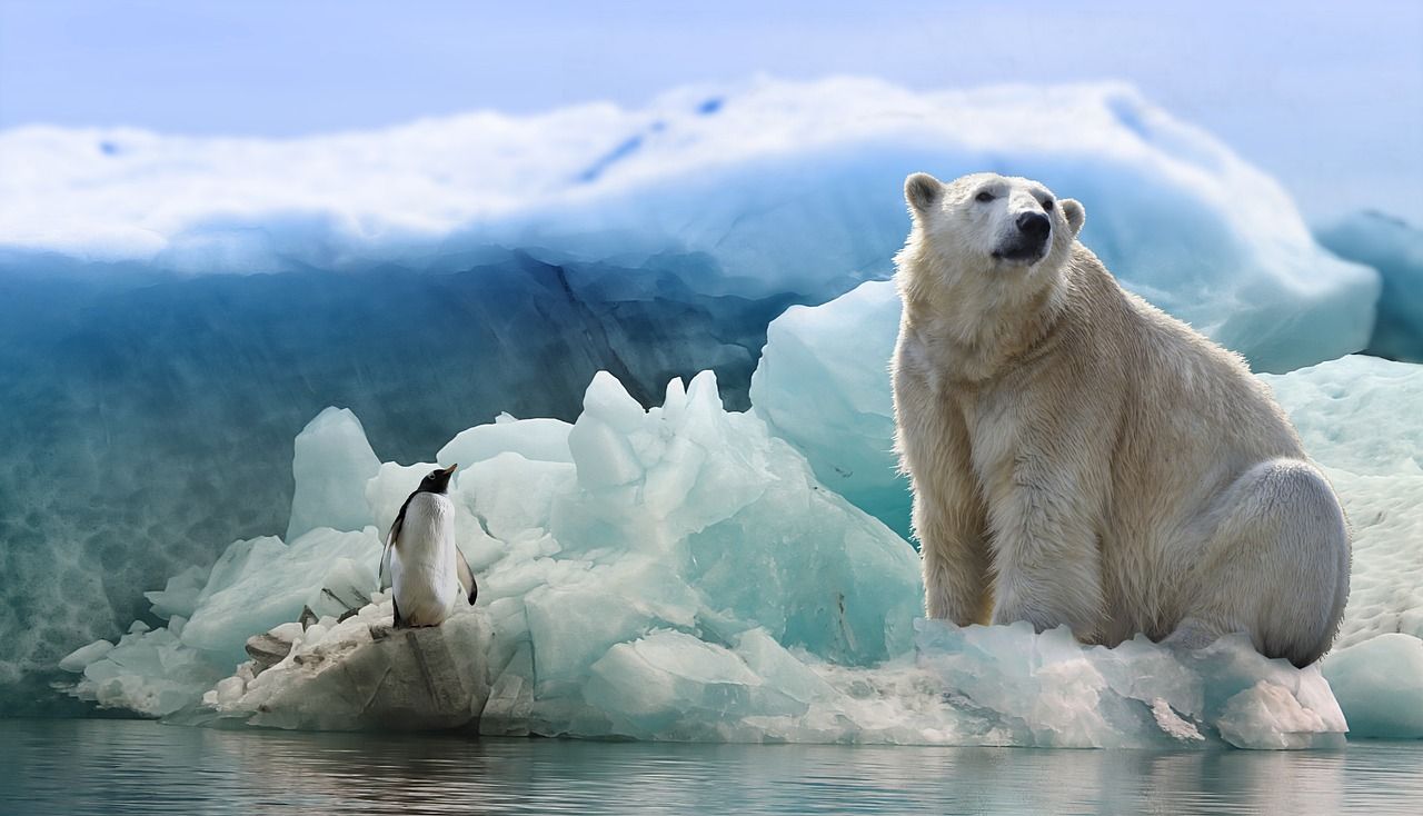 bloques de hielo antartida