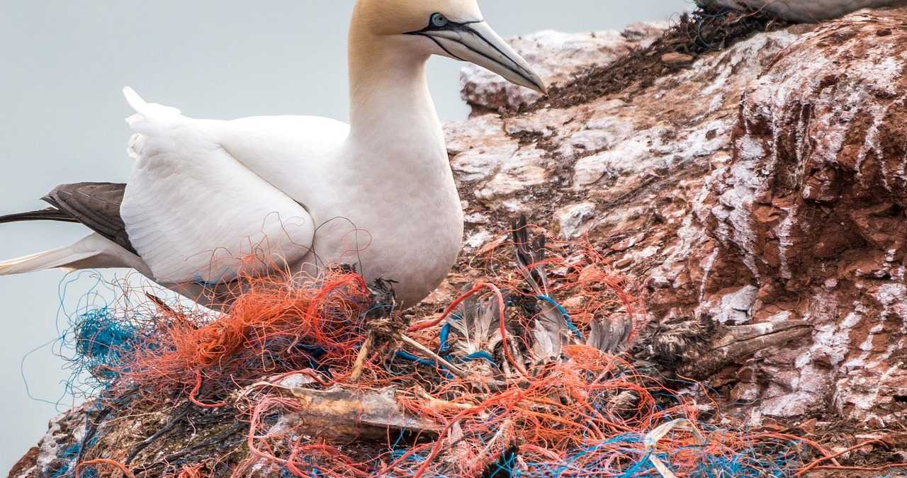 contaminacion oceanos