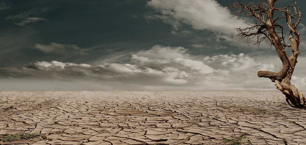 sequia dia contra el cambio climatico