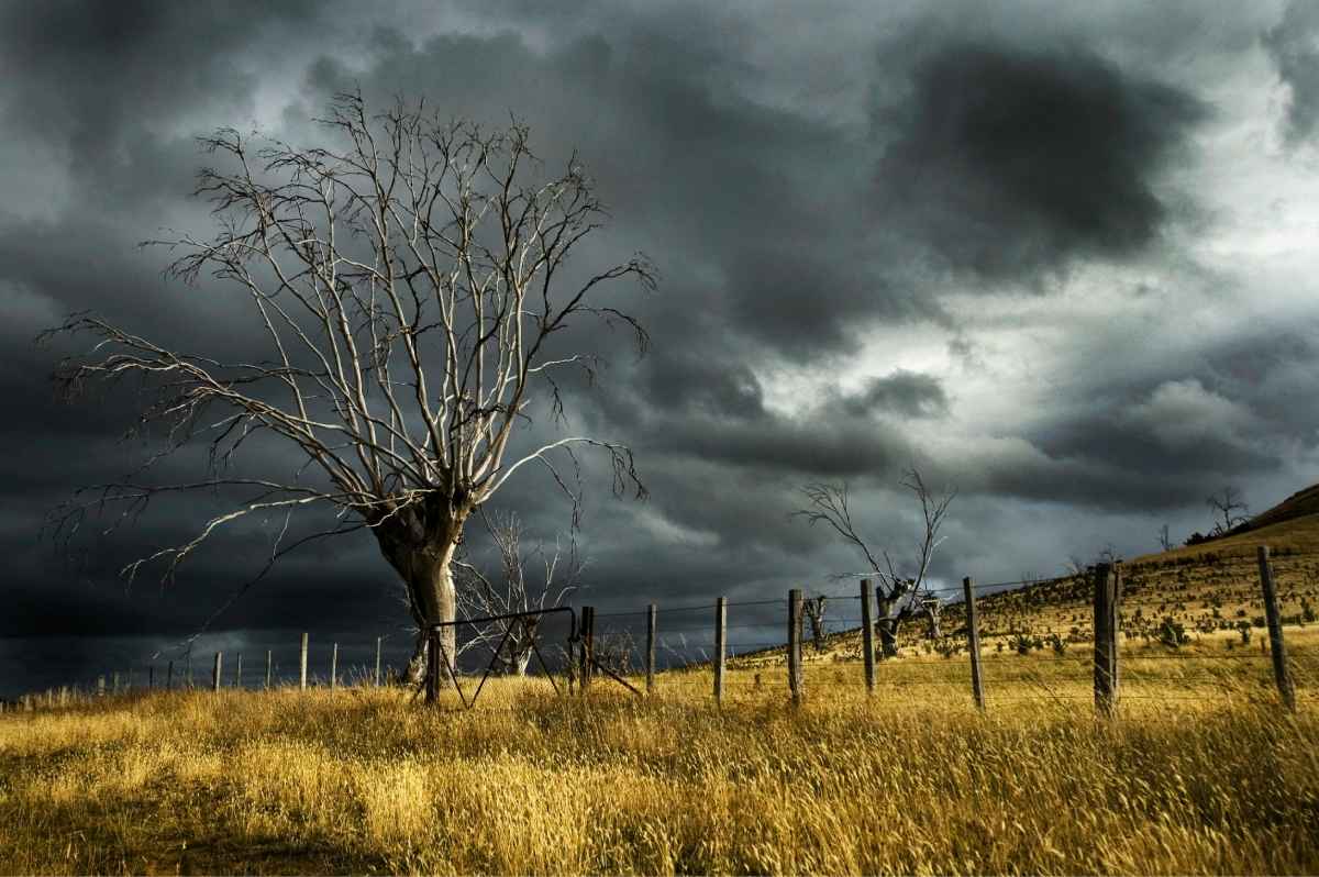 campo con cielo de tormenta