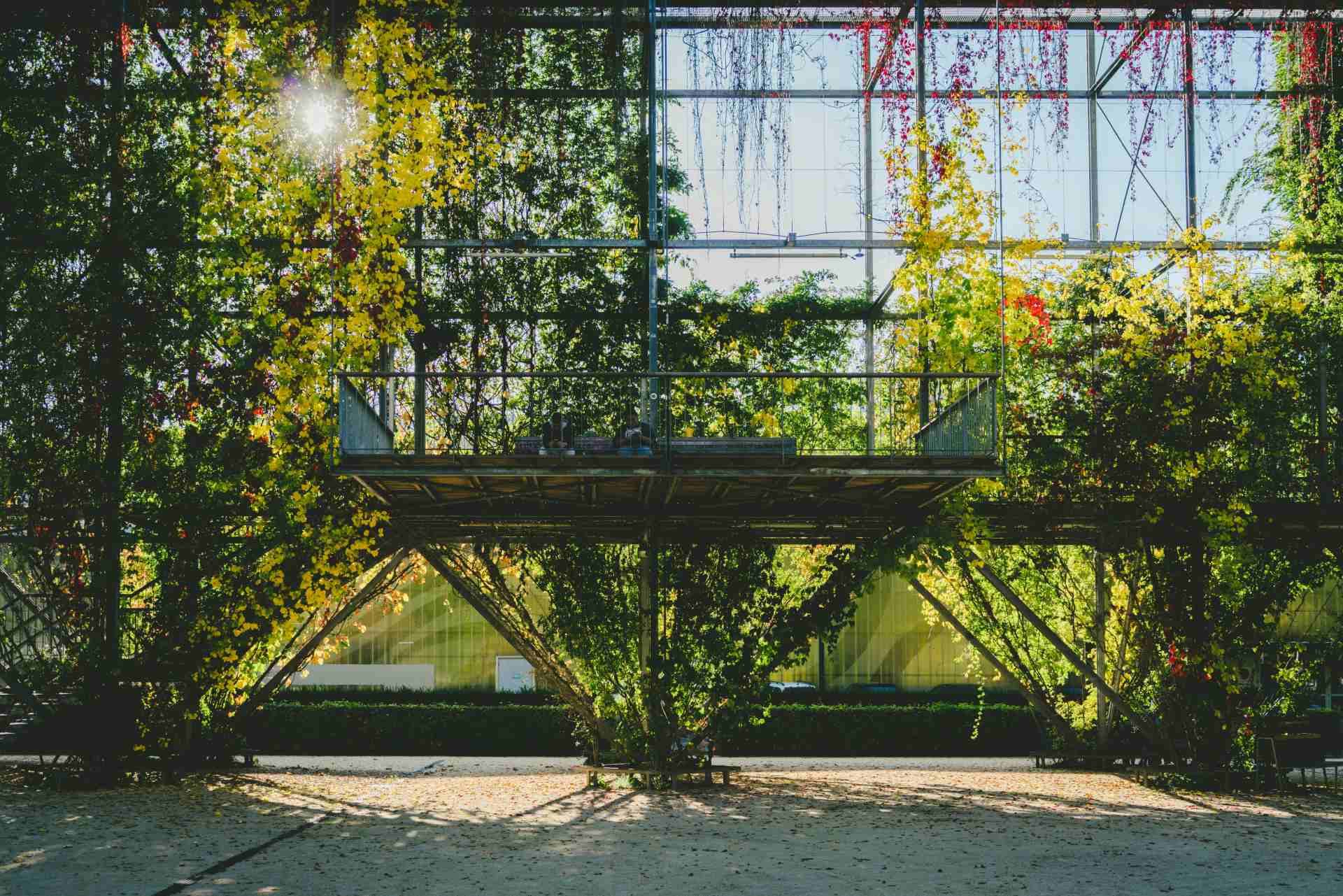 estructura metalica cubierta de vegetacion