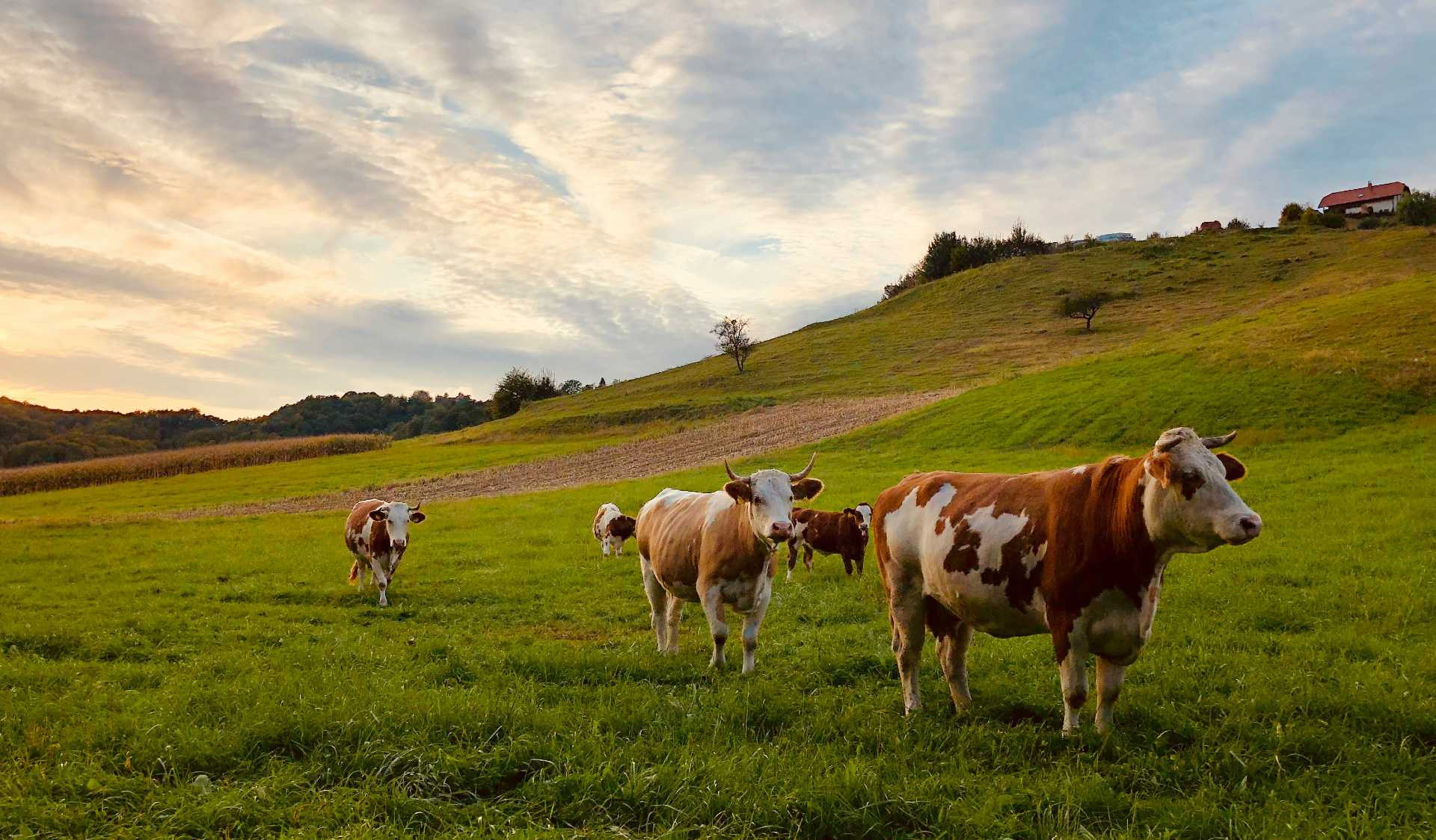 españa rural