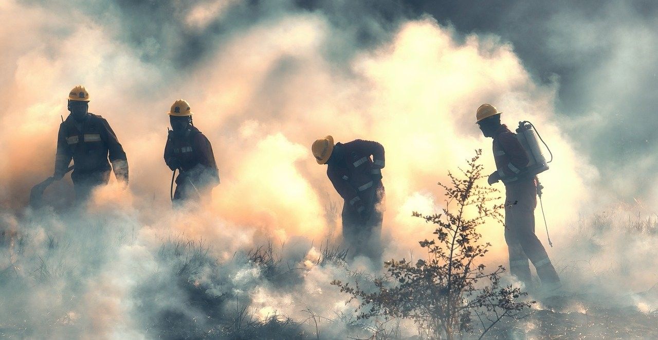 incendios-forestales-prevencion-02 (1)